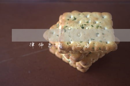 律师咨询 上海 律师咨询 上海